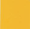 SQ442 Yellow 145x145